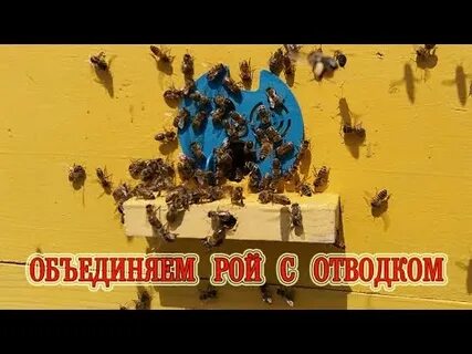 Соединить рои