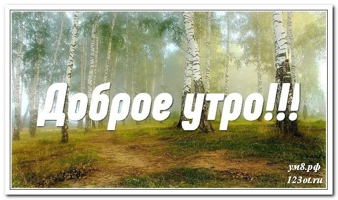 Открытка доброе утро лес. Доброе утро природа с надписью. Доброе утро картинки природа. Доброе утро пейзаж с надписью. Откриткискросивой природой сдобрим утром.