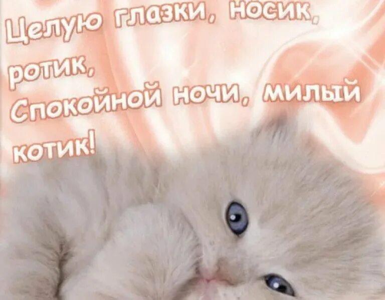 Спокойной ночи любимый смс. Спокойеойиночи любимый. Спокойной ночкилюбимвц. Пожелания спокойной ночи любимому. Спокойной ночилюбимлму.
