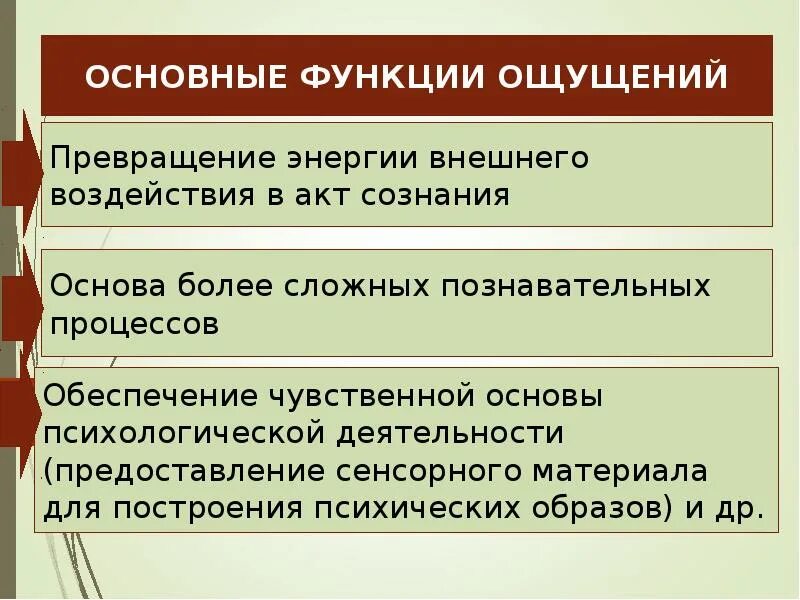 Презентация по ощущениям. Сообщение ощущения человека. Ощущения реферат. Патология ощущений пример на человеке.