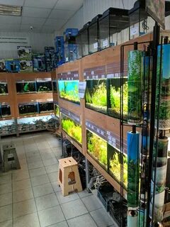 Аквариумный магазин адрес