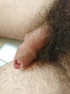 my small hairy cock,porn,porn pics,free my small hairy cock porn,free porn ...
