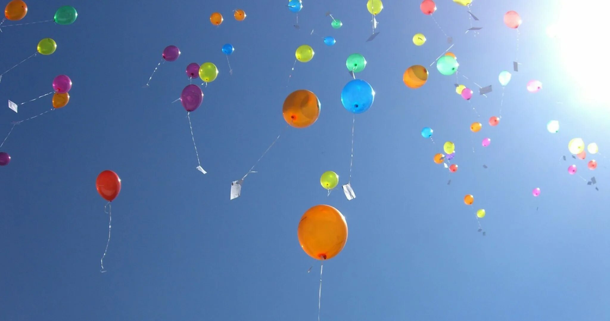 Сколько летают шары. Сдувшиеся воздушные шары. Воздушные шары убивают природу. Воздушные шары влияние на животных.