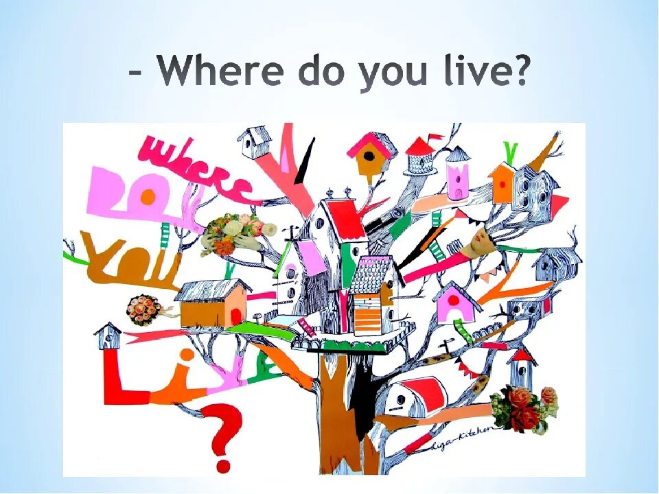 4 where do you live