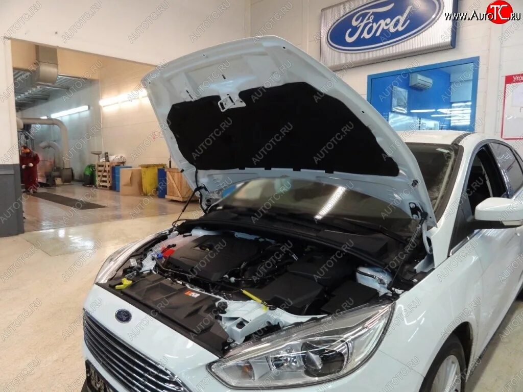 Открытый капот форд фокус 3. Упор для капота Ford Focus 3. Газовые упоры капота Форд фокус 3 Рестайлинг. Газовые упоры на Форд фокус 3.