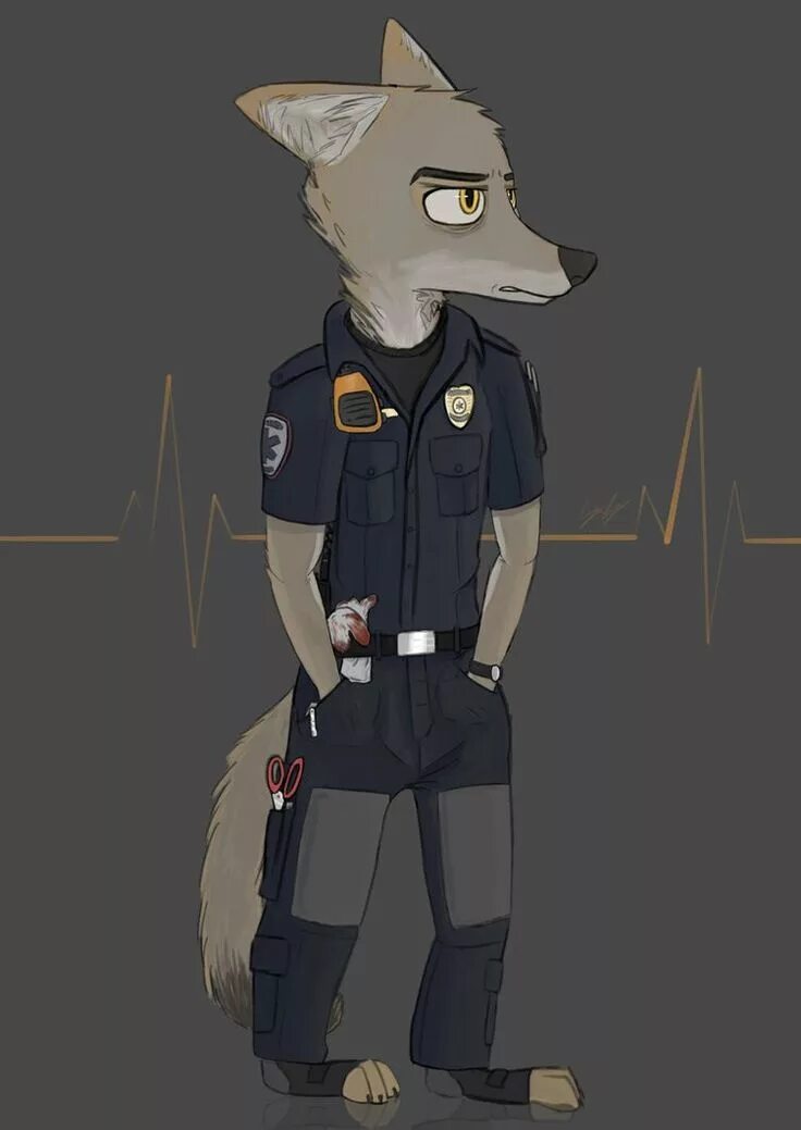 Fox police