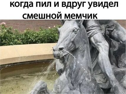 Жизненные картинки с надписями смешные до слез