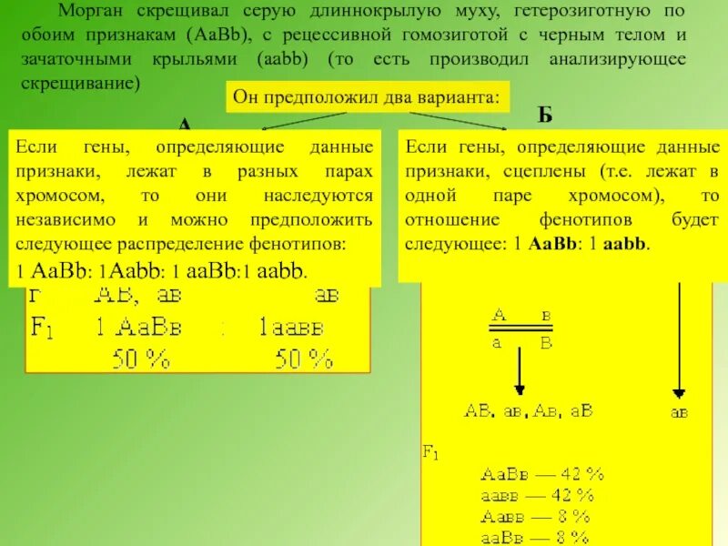 Рассчитайте частоту гомозигот. Гетерозиготные по обоим признакам это. Гетерозиготное скрещивание. Гомозиготный по рецессивному признаку. Гомозиготен по обоим признакам.