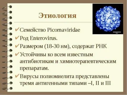 Возбудителем полиомиелита является