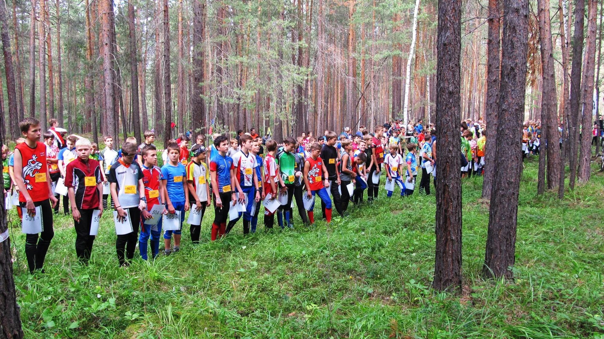 спортивное ориентирование старт. зимнее спортивное ориентирование. спортивное ориентирование иван чебыкин. спортивный туризм. климочкина софья спортивное ориентирование.