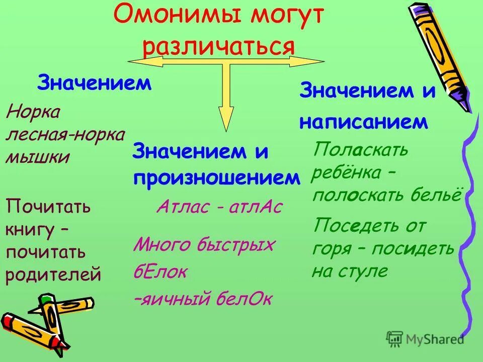 Значение слова различаться. Омонимы. Омонимы примеры. Слова омонимы. Слова омонимы примеры.
