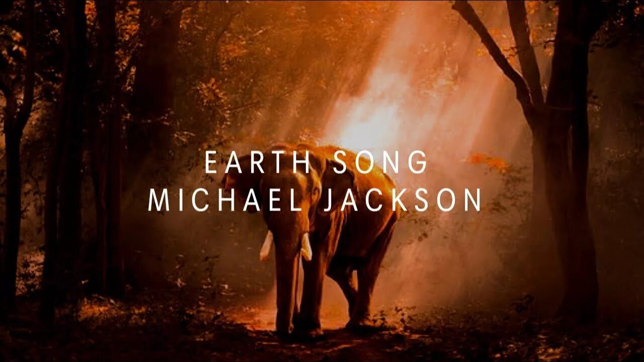 Джексон earth song текст. Michael jackson earth song заставка горящий лес.