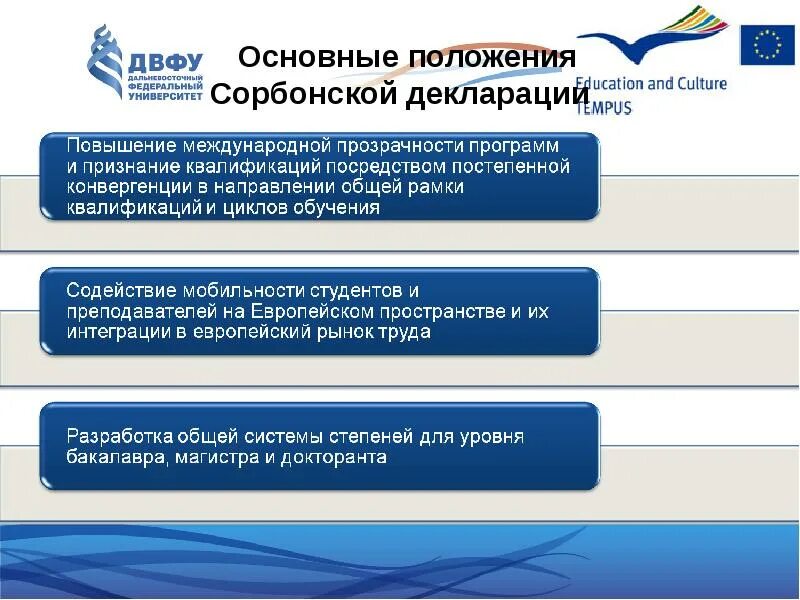 Положения декларации. Основные положения декларации. ключевые положения сорбонской декларации. сорбонская декларация 1998 основные положения. основное положение декларации.
