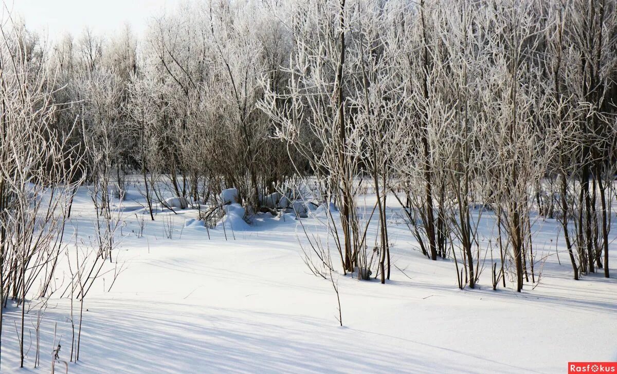 даже снег и морозы. среди зимы. даже снег и морозы. заставка на рабочий стол бесплатно на весь экран зима мороз. природа тучи снеговые 2022.