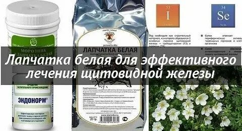 Лапчатка белая для щитовидной железы отзывы пациентов