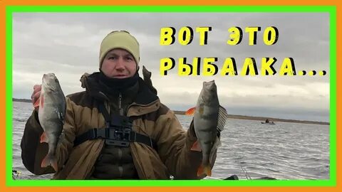 Мы удили на озере окуней