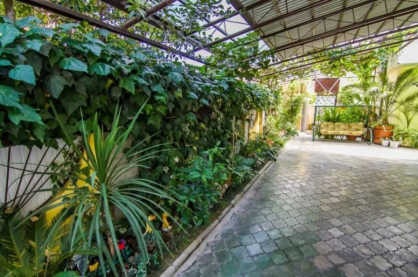 Луговая 10 адлер. Дом све. Гд светлана лазаревское. Дом све. Геленджик гостевой дом светлана ул морская.