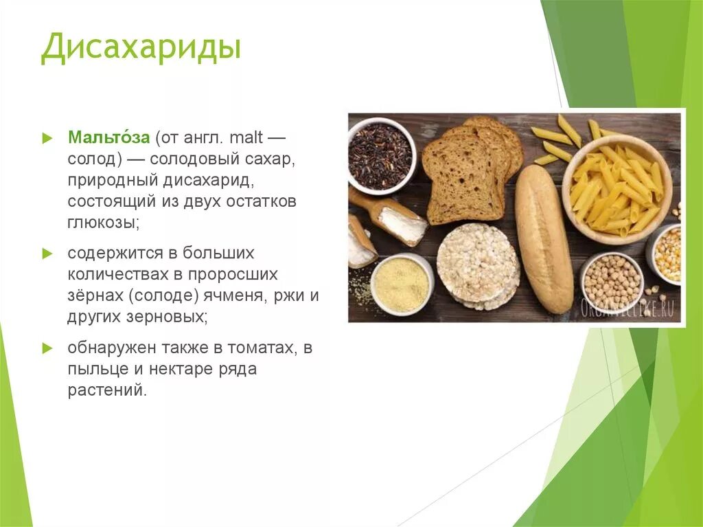 Дисахаридом является углевод