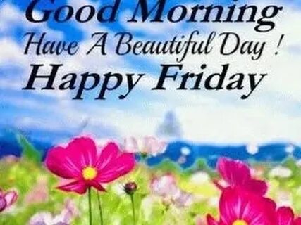 Have a beautiful day