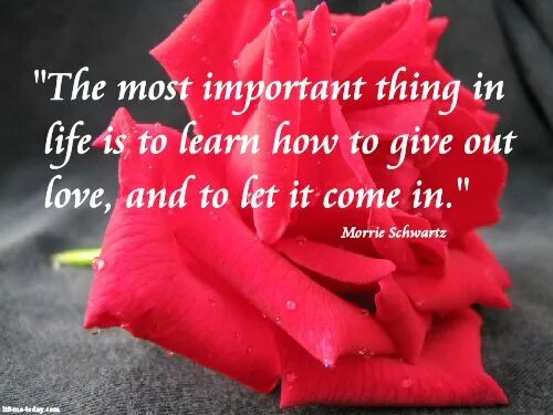 Most important things in life. Most important things. Important Love. 3 Important things in Life. The most important things in Life are not things.