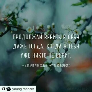 Веришь не веришь решать тебе