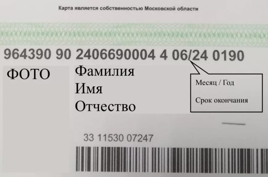 Как узнать до какого числа действует