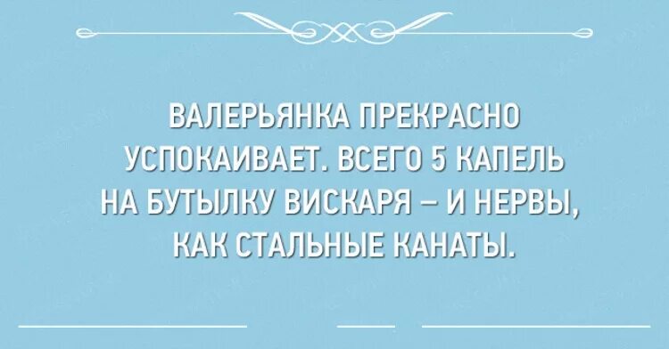 Сидишь без мужа. Перлы школьных сочинений. Цитаты из школьных сочинений. Смешные перлы из сочинений. Выдержки из школьных сочинений смешные.