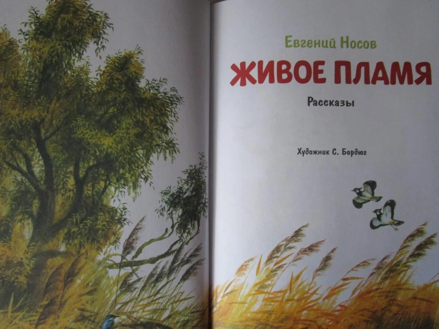 Рисунок живое пламя