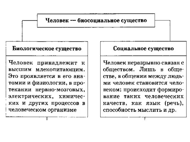 Что означает биосоциальное существо. Биологическое и социальное в человеке схема. Человек как биологическое и социальное существо. Человек биологическое и социальное существо таблица. Человек биологическое существо.