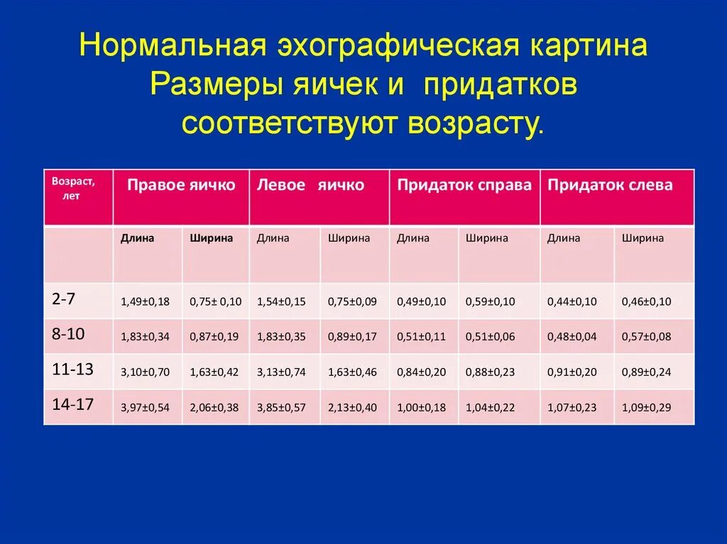 Нормальная яичка мужчин. Норма объема яичек у мужчин по УЗИ. УЗИ мошонки норма Размеры. Размеры яичек у мальчиков по возрасту таблица. Размер яичек у мальчиков норма по возрасту.