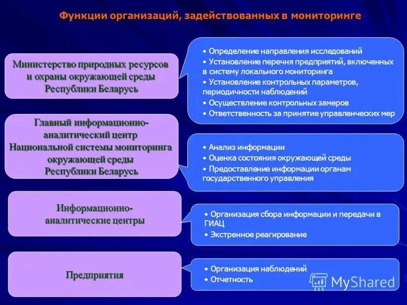 Функции мониторинга окружающей среды. Функции мониторинга экология. Основные функции экологического мониторинга. Функции организации. Министерство природных ресурсов беларуси