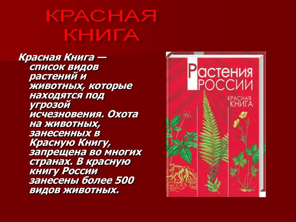 Включи красную книгу растений. Растения красной книги России список. Красная книга России книга растения. Коасная книга Росси растения. Раса красной книги россий это.