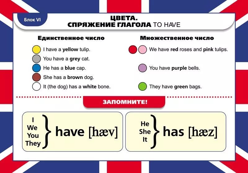 To be to have examples. Глагол to have в английском языке. глаголы have has в английском языке таблица. have to в английском языке. правило have has в английском языке.