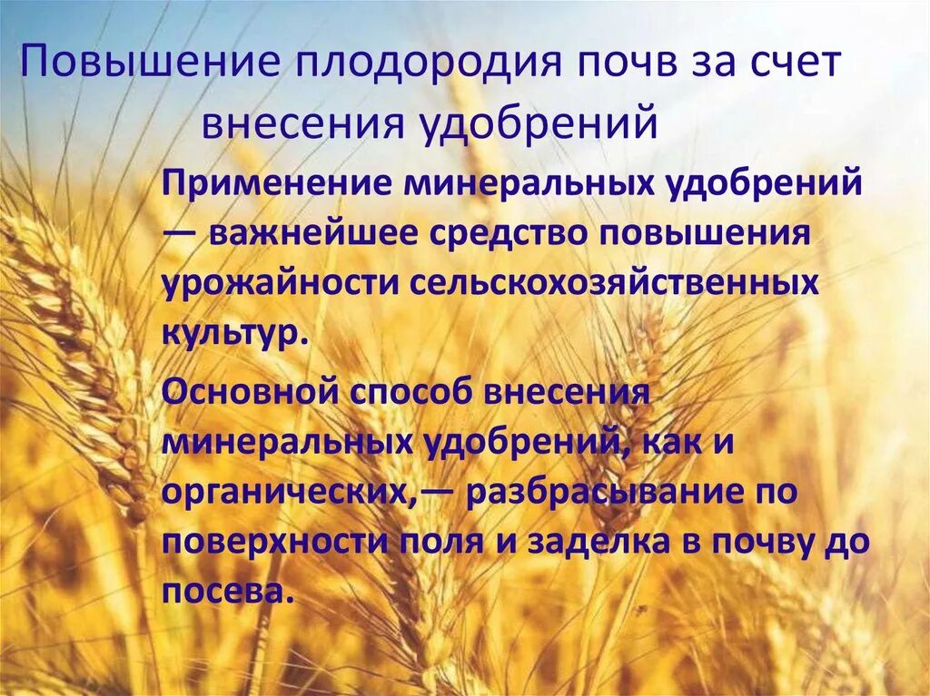 Повышение плодородия земель. Методы повышения плодородия почвы. Меры для повышения плодородия почв. Плодородие и продуктивность почв. Способы улучшения почвы.