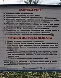 Правило содержание собак. Правила содержания домашних собак. Правила выгула собак. Содержание и выгул собак.