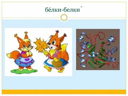 Белка какие звуки в слове