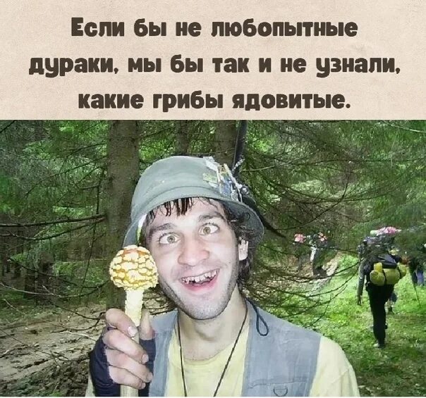 Обжаренные шампиньоны. Если грибы говорят не надо их жарить. Жареные опята с луком и сметаной. Если грибы говорят не надо их жарить. Если грибы говорят не надо их жарить.