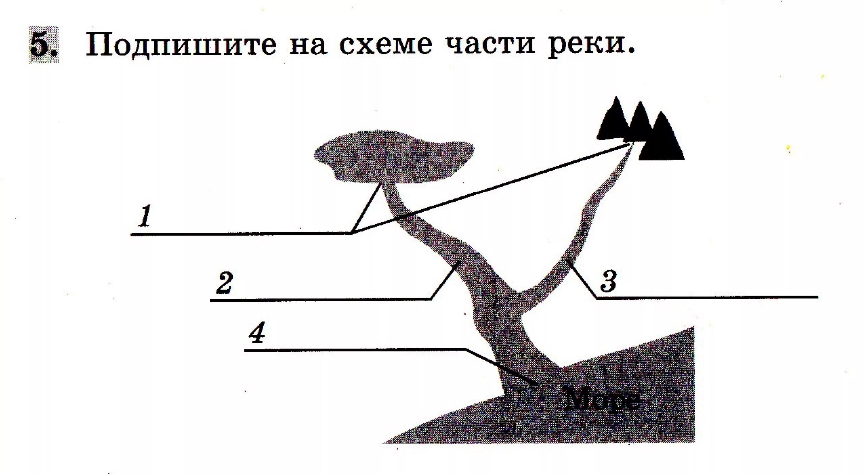 Подпишите части реки. Подпиши на схеме части реки. Части реки схема подписать. Части реки схема для проверочной работы.