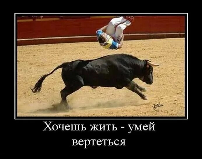 Смешно живешь