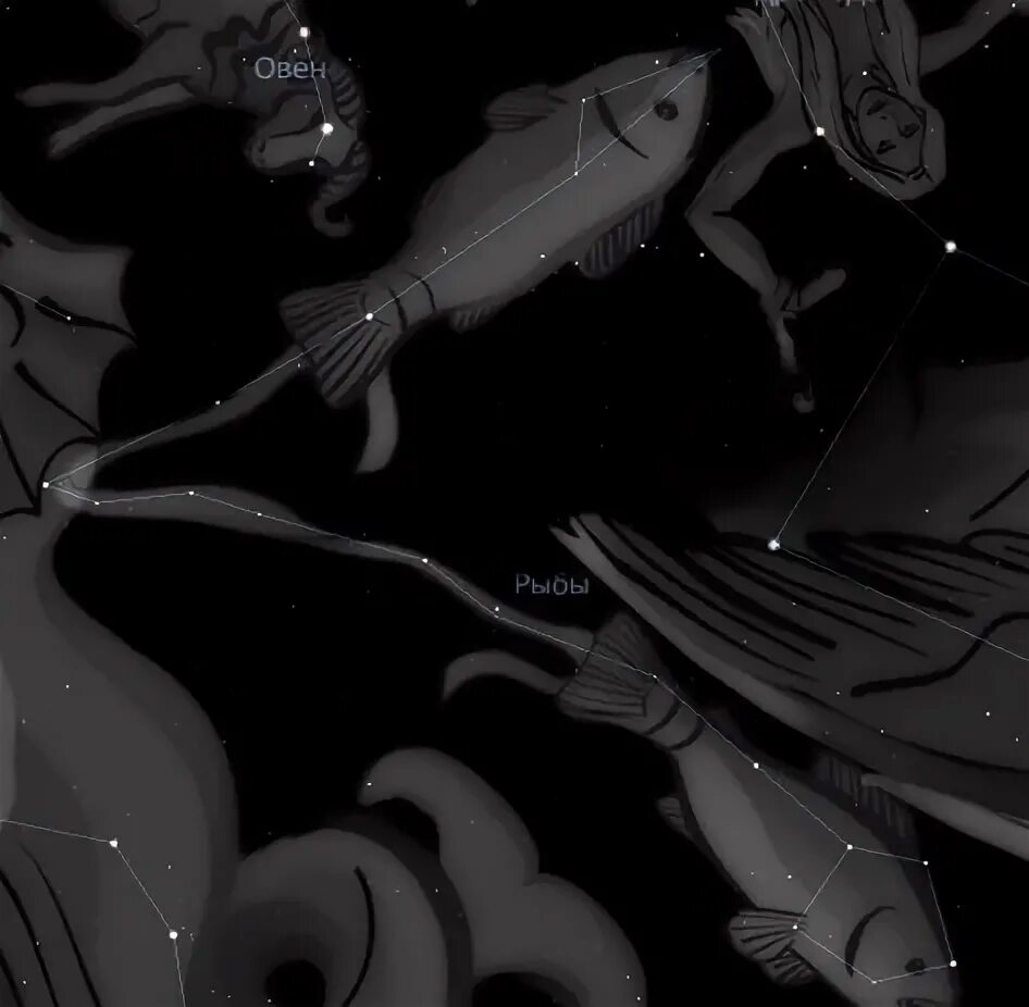 земля небесной рыбы. летающий кит. фомальгаут созвездие южной рыбы. купол плоской земли. созвездие кита гевелий.