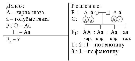 Задача по генетике на цвет глаз. Решение задач по биологии по генетике 9. Задачи по генетике на цвет глаз с решением. Задачи по биологии 9 класс генетика. Решение задач по биологии 10 класс генетика