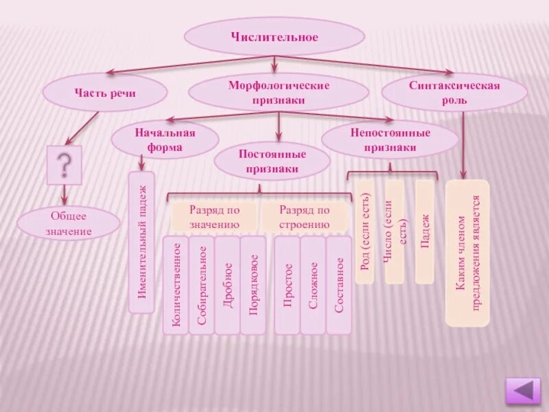 Числительное постоянные признаки. Числительное морфологические признаки. Морфологические особенности числительных. Постоянный признаки числительного. Морфологическая характеристика имени числительного двадцать пять