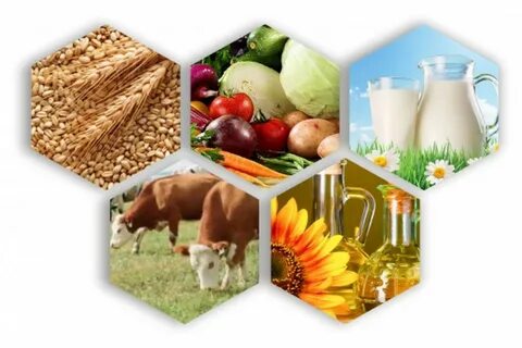 Сельское хозяйство производит широкий ассортимент продукции