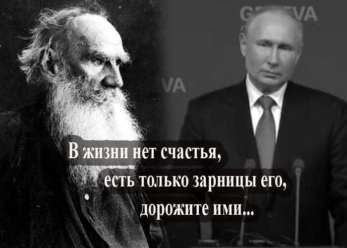 Высказывания толстого о жизни. Лев толстой о счастье. Толстой о счастье. Цитаты толстого льва о счастье. Толстой счастья есть без.