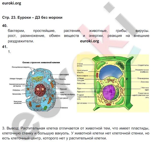 Биология 9 класс пасечник зеленый. Рабочая тетрадь по биологии 9 класс Пасечник стр 23. Клетка гриба 9 класс. Учебник Пасечник рисунок клетки. Биология 9кл Пасечник.