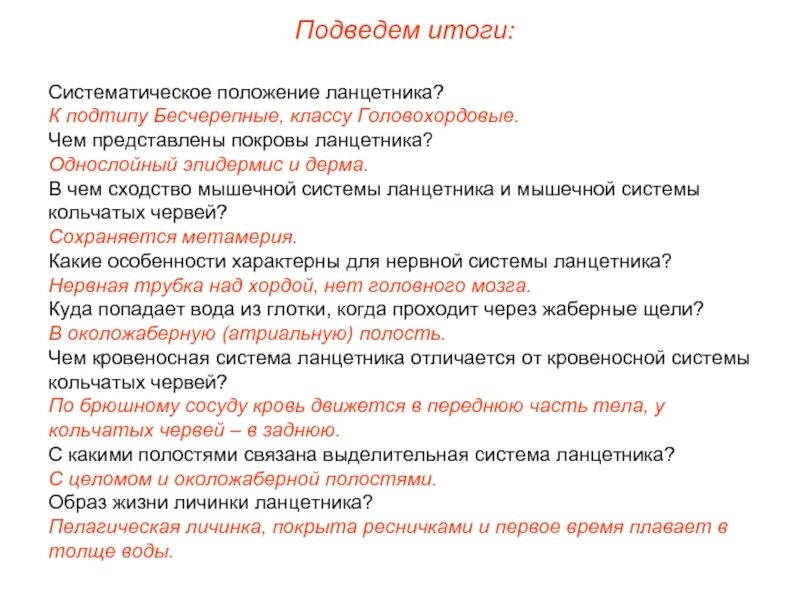 Какая нервная система у бесчерепных. Общая характеристика ланцетника. класс ланцетники общая характеристика. тип хордовые подтип бесчерепные класс ланцетники. особенности бесчерепных.