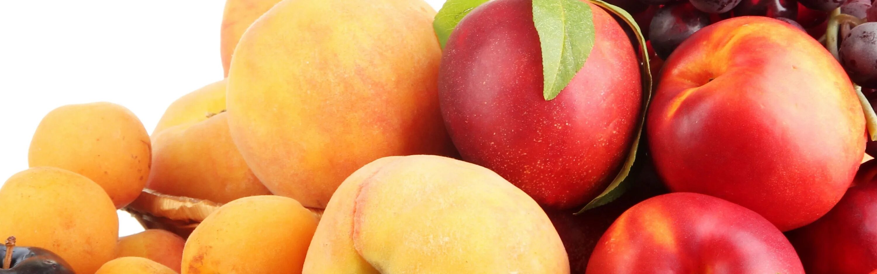 Персик слива абрикос как называется. Слива персик черешня абрикос. Персики и виноград. Фрукты яблоки виноград персики абрикос.