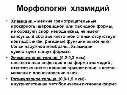 Морфология хламидий