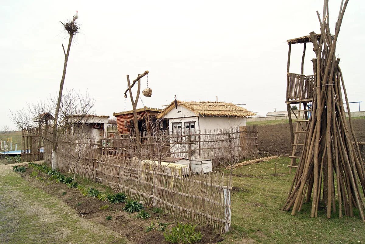 Калниболотская Краснодарский край. Станица Калниболотская Новопокровский район. Атамань Казачья станица. Ст.Калниболотской Краснодарского края.