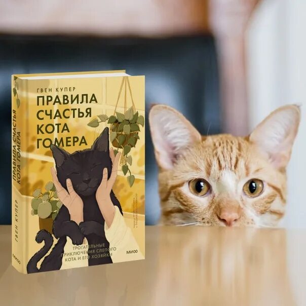 Правила счастья кота гомера писательница. Кот на счастье. Правила кота гомера. Гвен купер гомер. Правила счастья кота гомера.